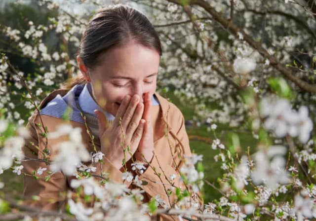 Alergia wziewna objawy – jak je rozpoznać i zminimalizować dyskomfort