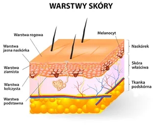 Skąd się biorą pieprzyki? Przyczyny, zagrożenia i kiedy udać się do lekarza