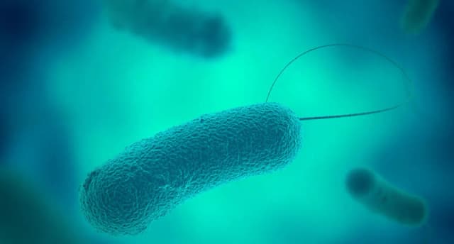 Legionella skąd się bierze i jak uniknąć zagrożeń zdrowotnych